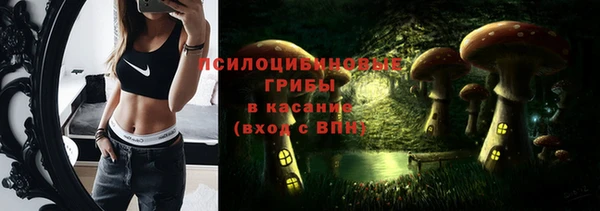 СК Верхний Тагил