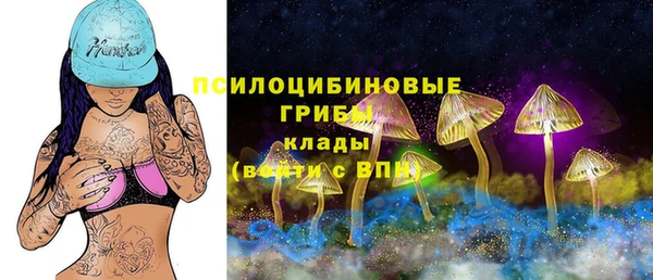 бутират Верея