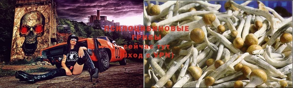 герыч Верхнеуральск