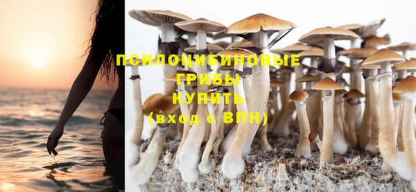 СК Верхний Тагил