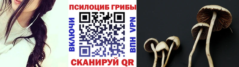 Галлюциногенные грибы Psilocybine cubensis  Черкесск 